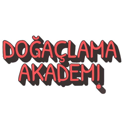 Doğaçlama Akademi