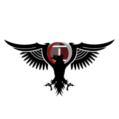 METU FALCONS