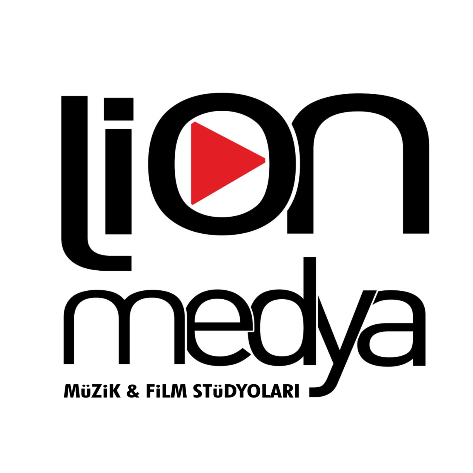 LION MEDYA