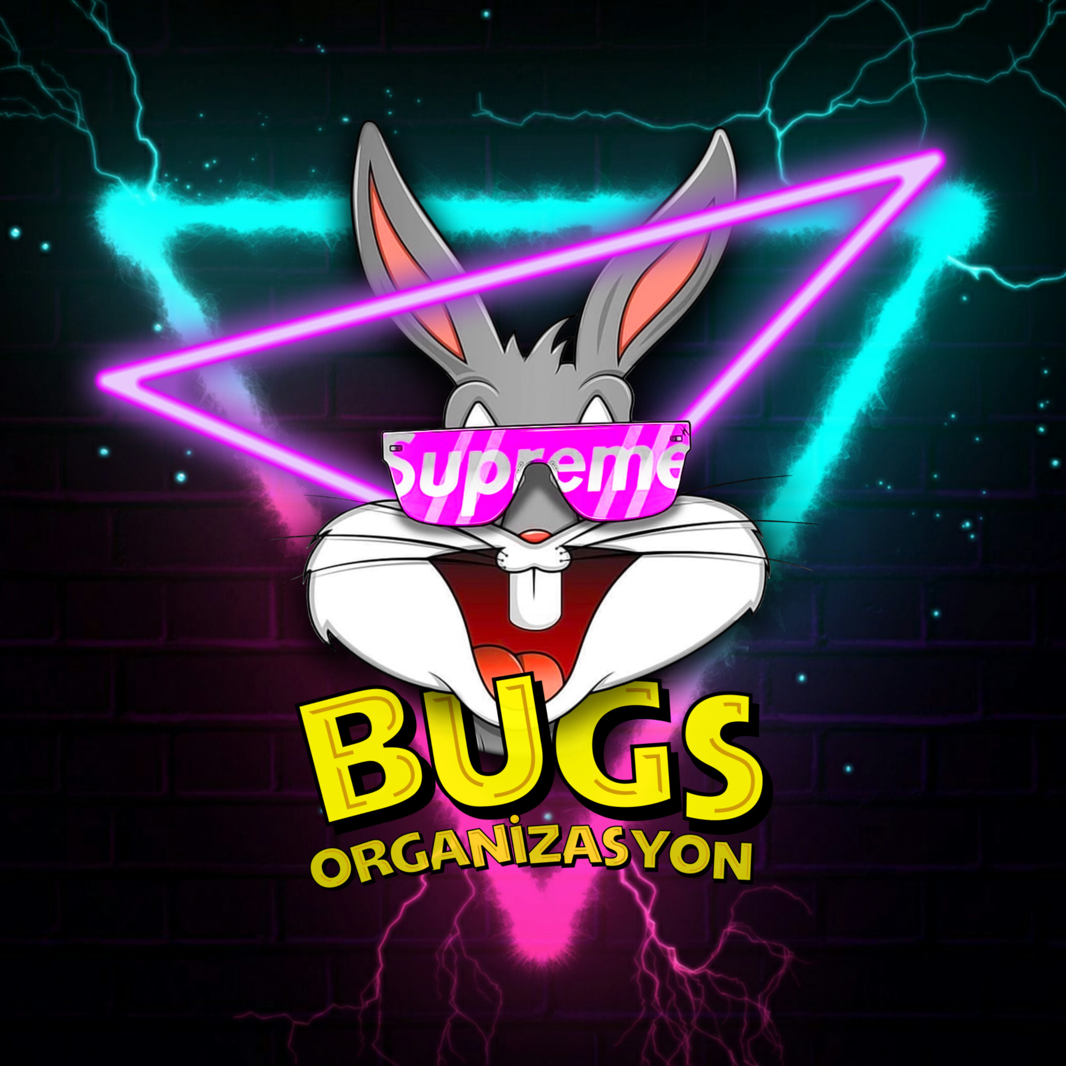 Bugs Organizasyon