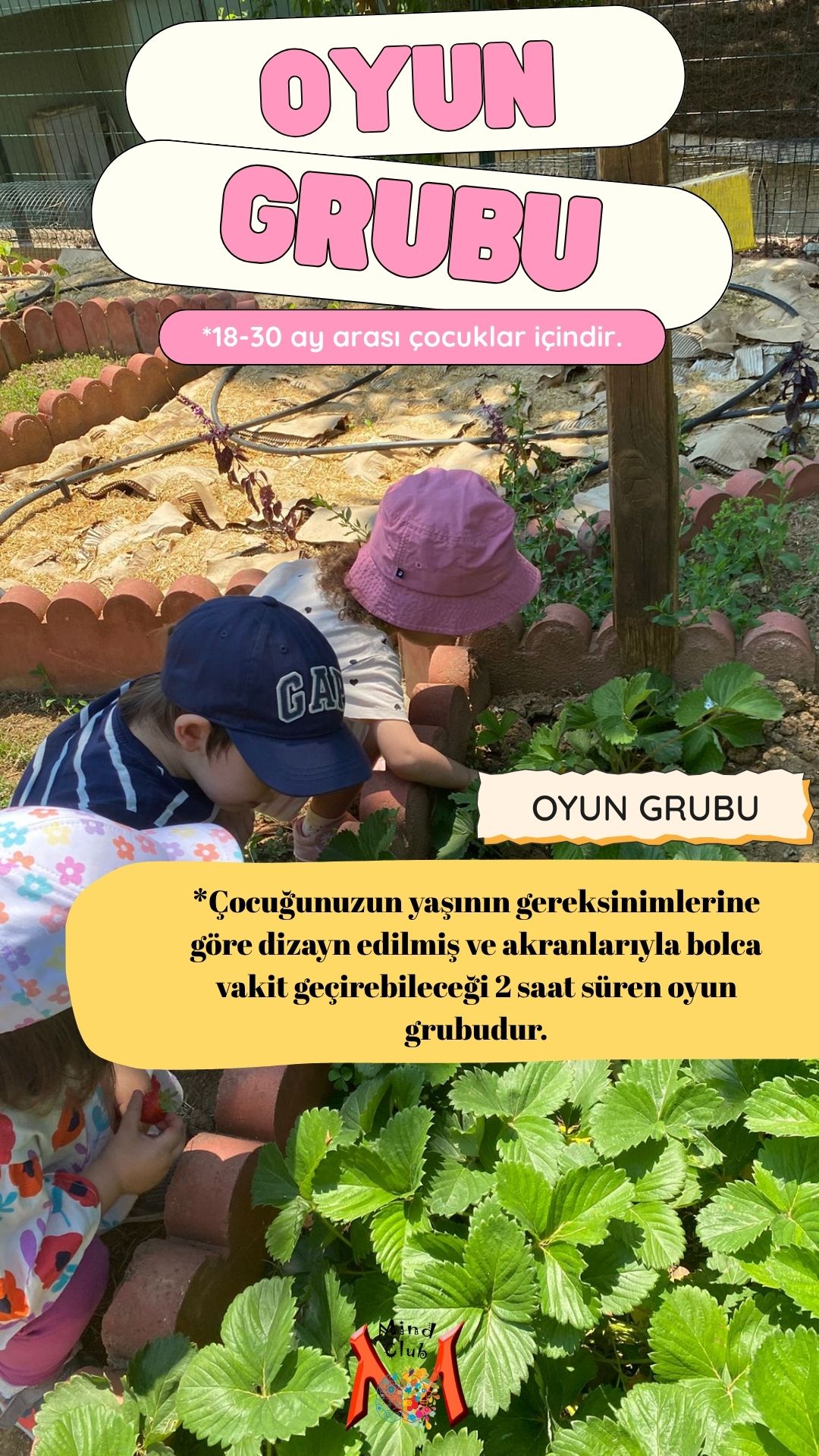 OYUN GRUBU