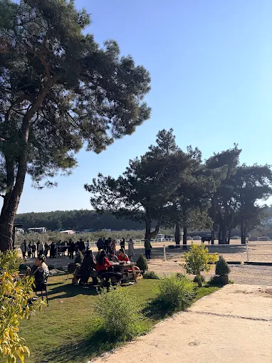 Özsakallı At Çiftliği