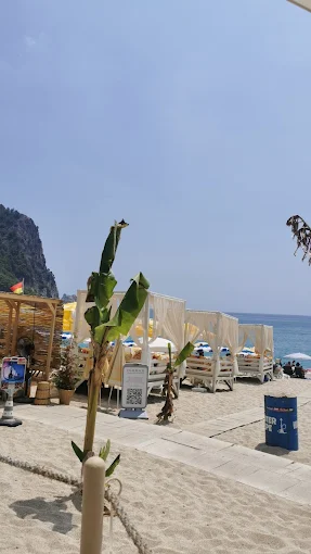 PALM BEACH Fish & Steak Restaurant