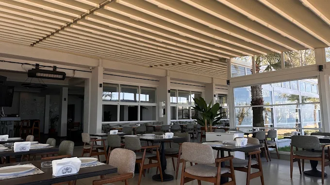 Palm Yalova