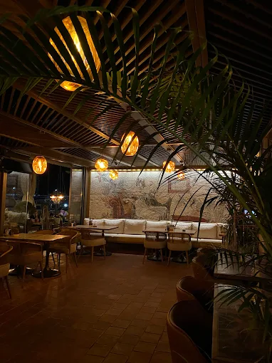 Paradiso Palms