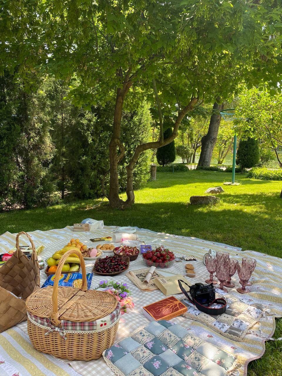 Picnic
