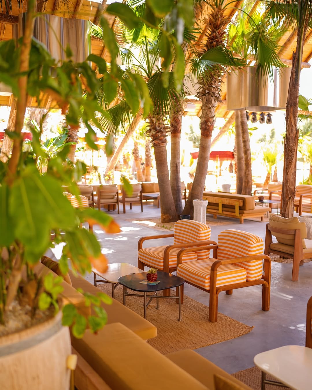 Playa Tropical