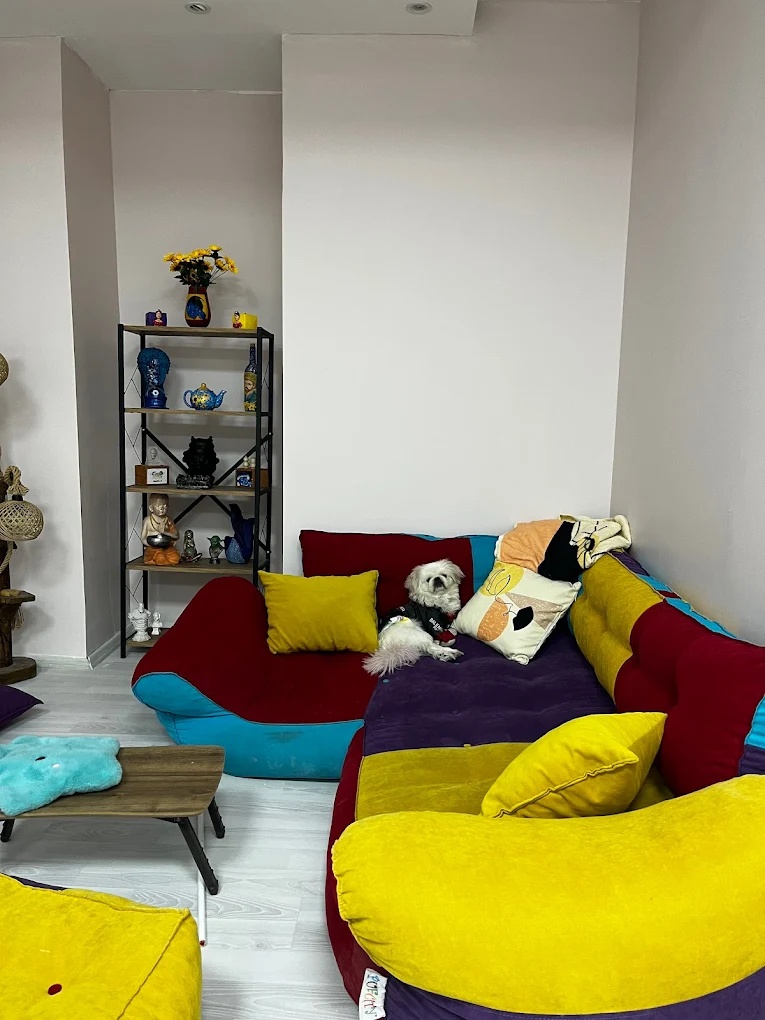 Ponyo Kültür ve Sanat Akademisi