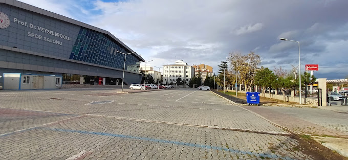 Prof. Dr. Veysel Eroğlu Spor Salonu