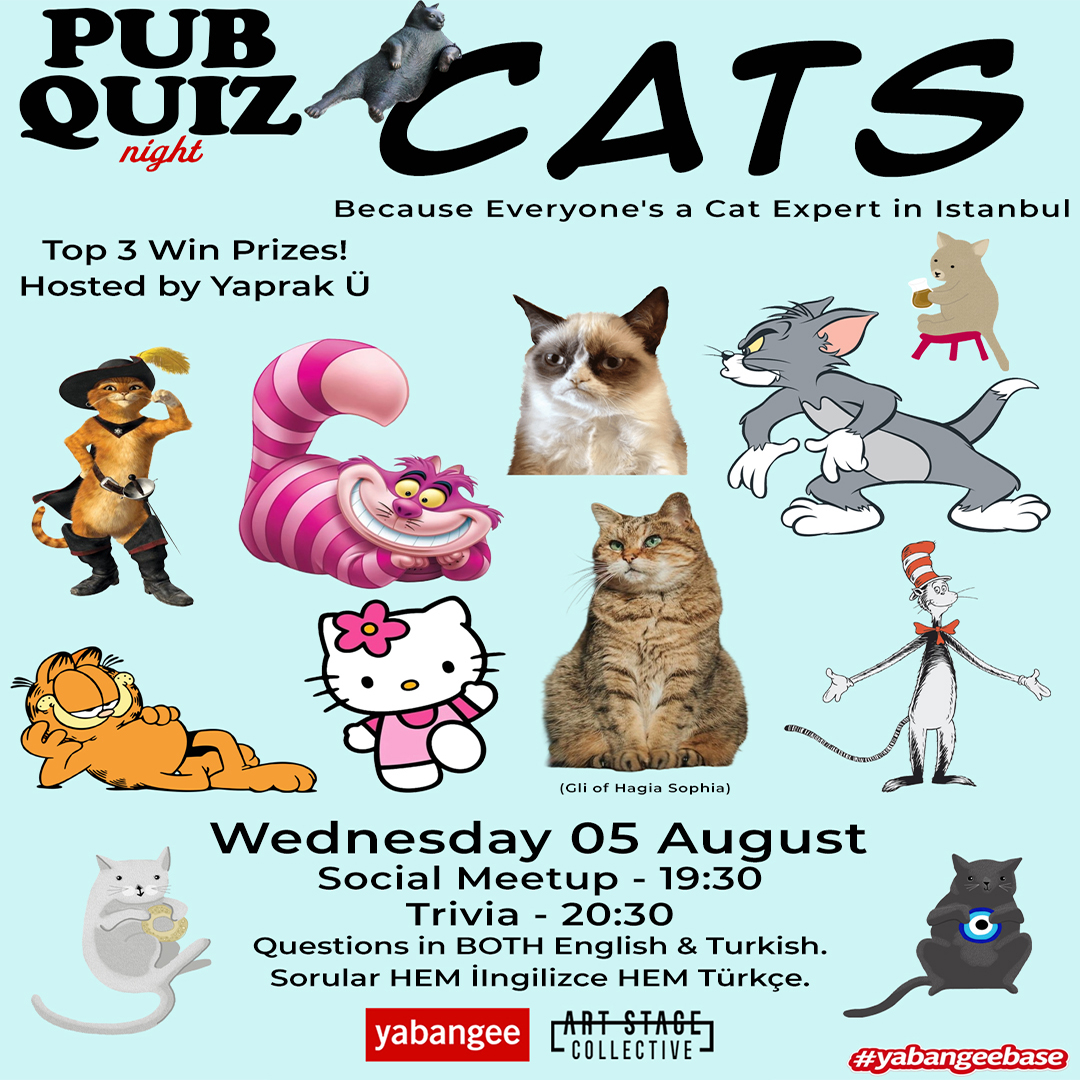 Pub Quiz on Cats: Questions in English & Turkish
