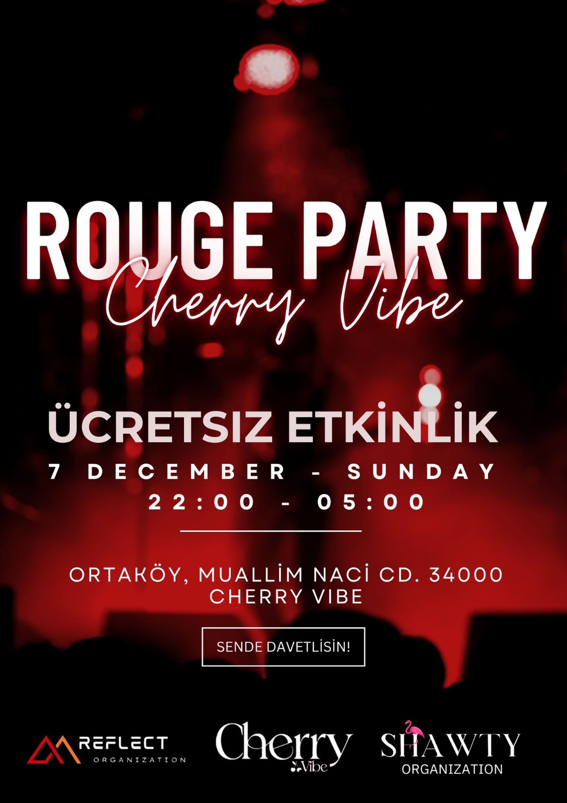 Rogue Party