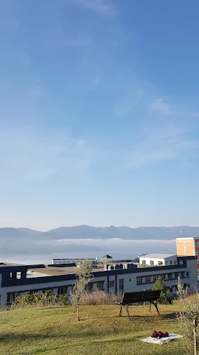 Sakarya Uygulamalı Bilimler Üniversitesi