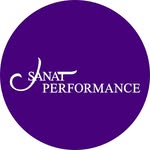 Sanat Performance