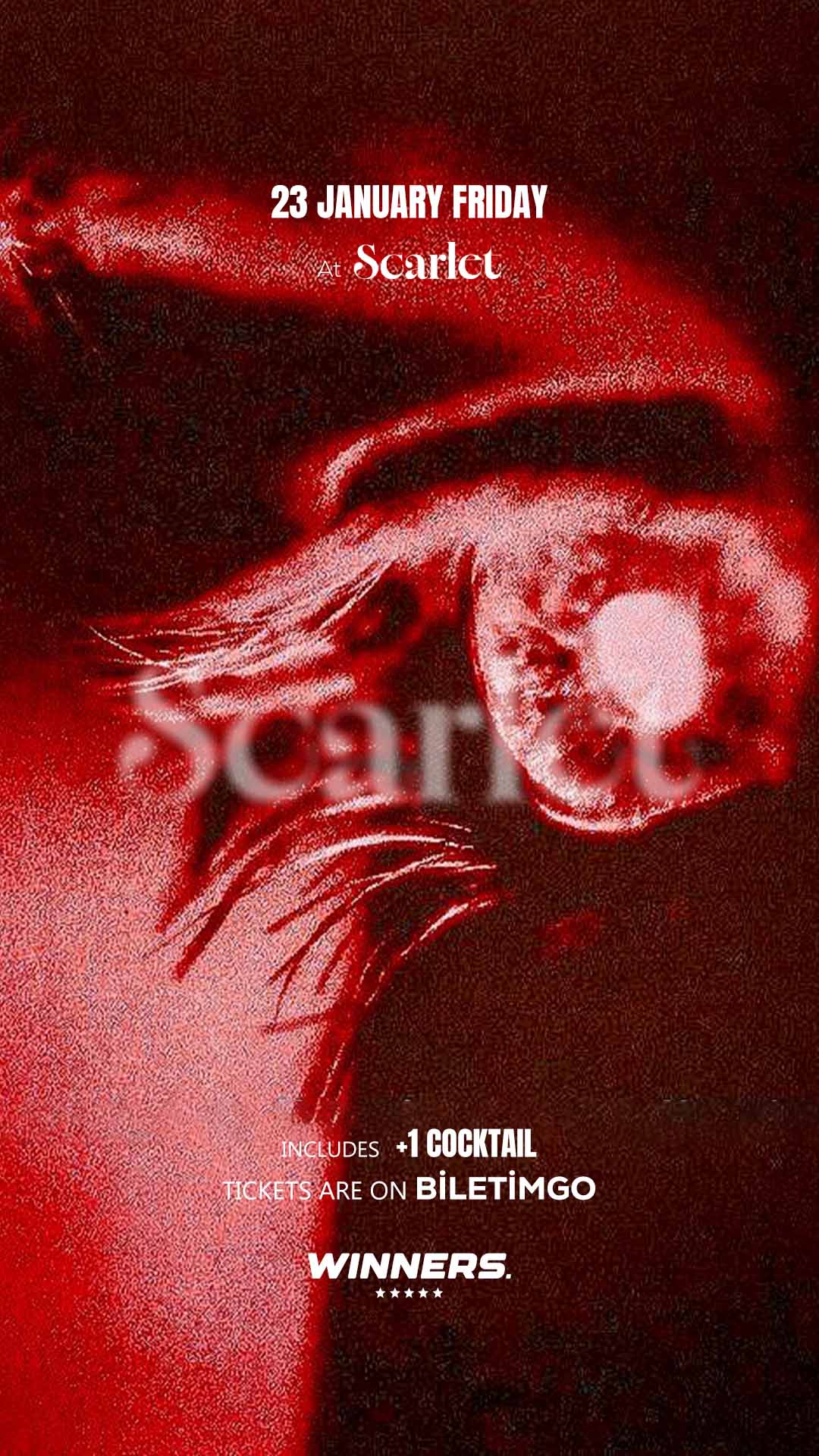 SCARLET NIGHTS p3