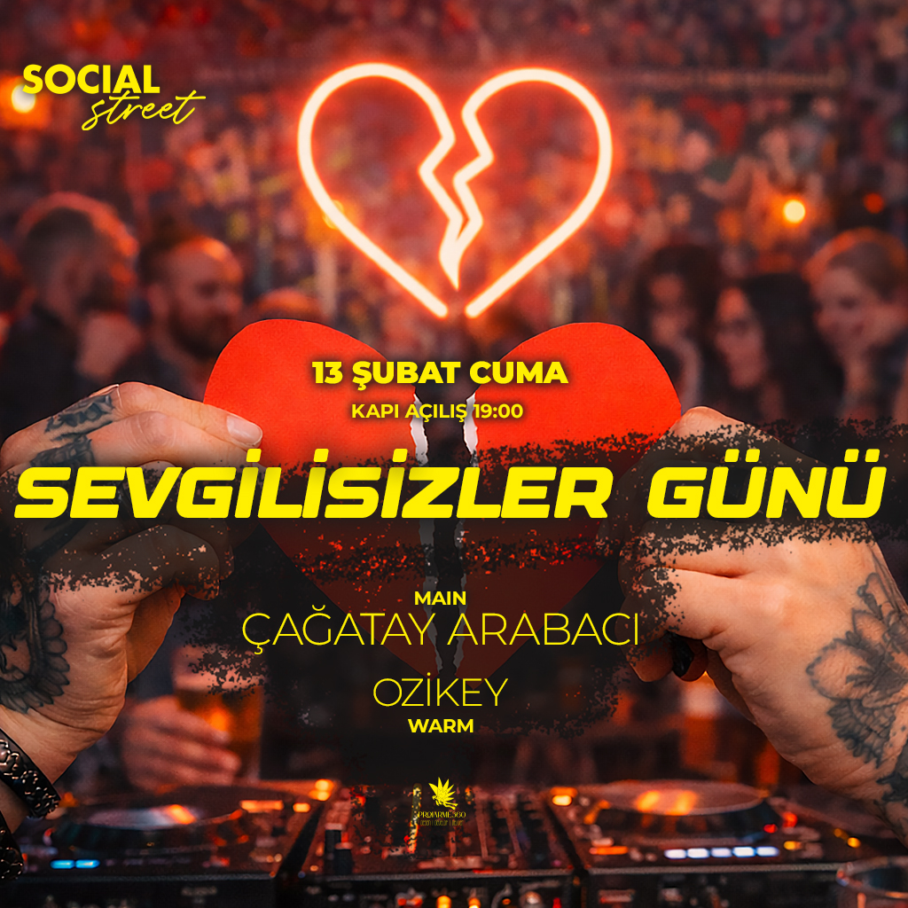 SEVGİLİSİZLER PARTİSİ