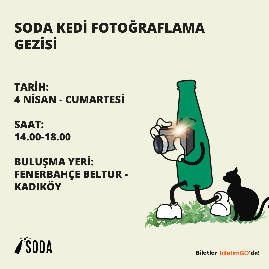 SODA KEDİ FOTOĞRAFLAMA GEZİSİ