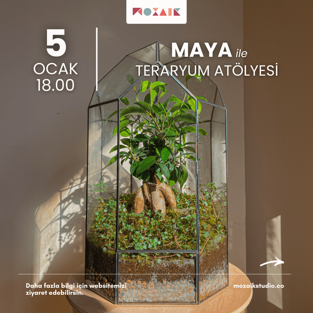 Teraryum Yapım Atölyesi