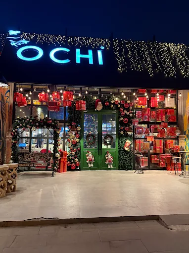 The OCHI