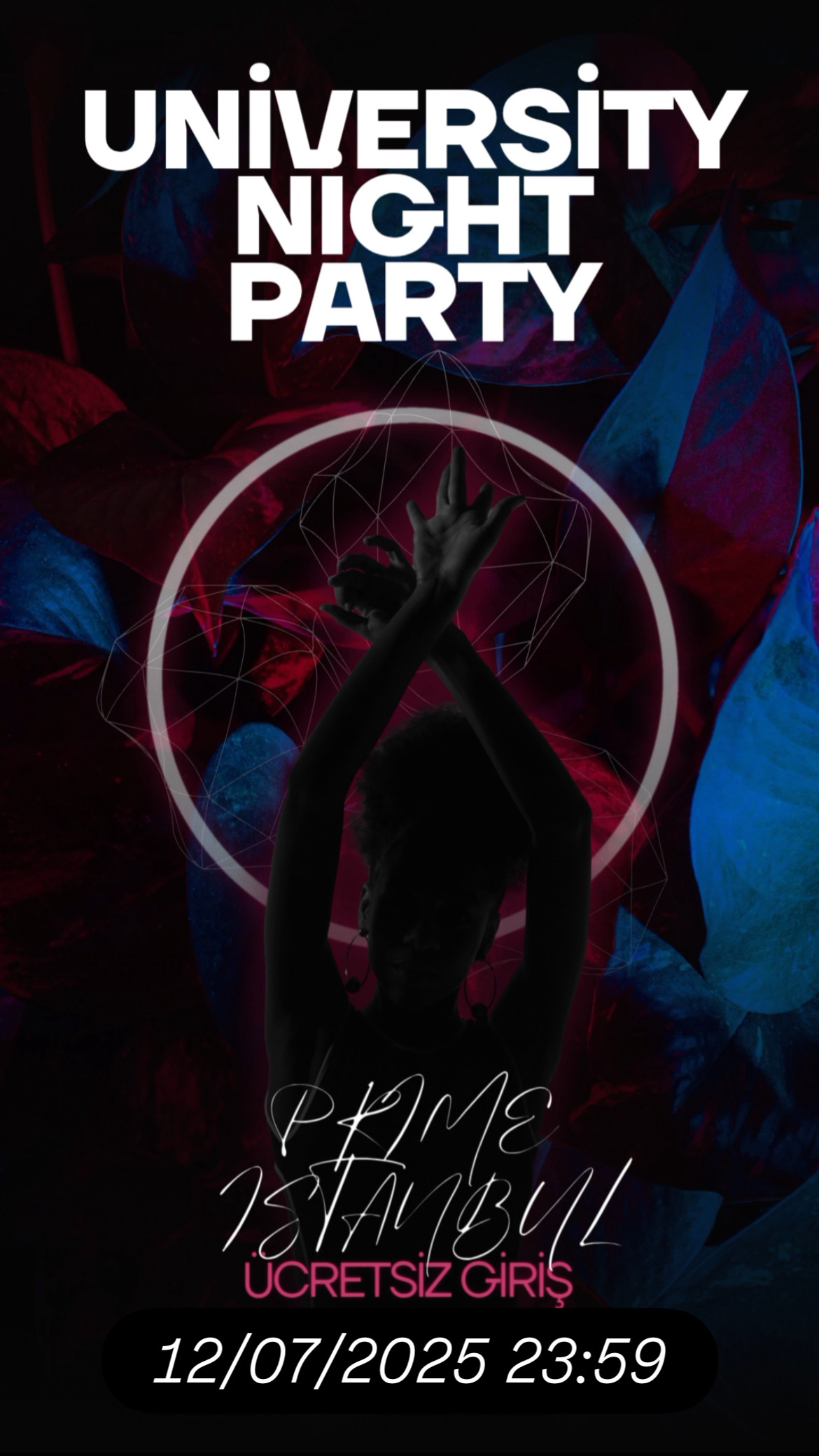 University Night Party