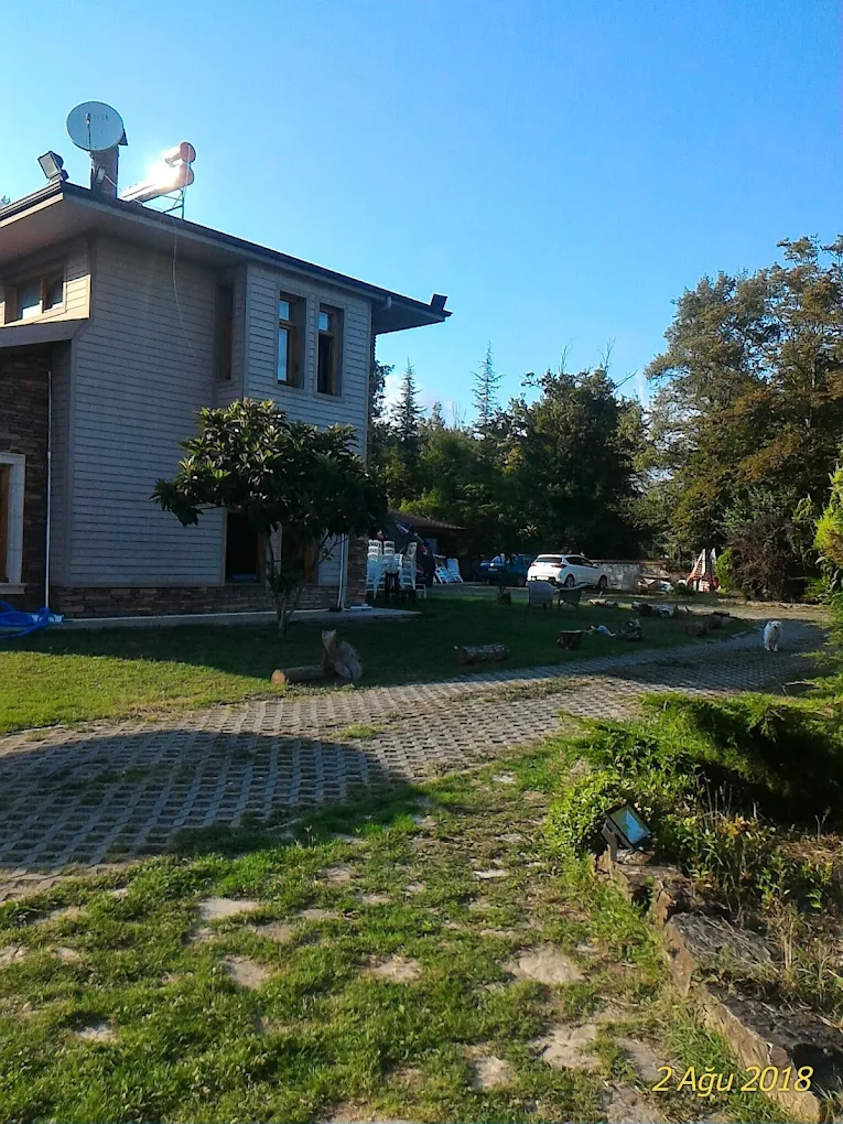 Villa Park