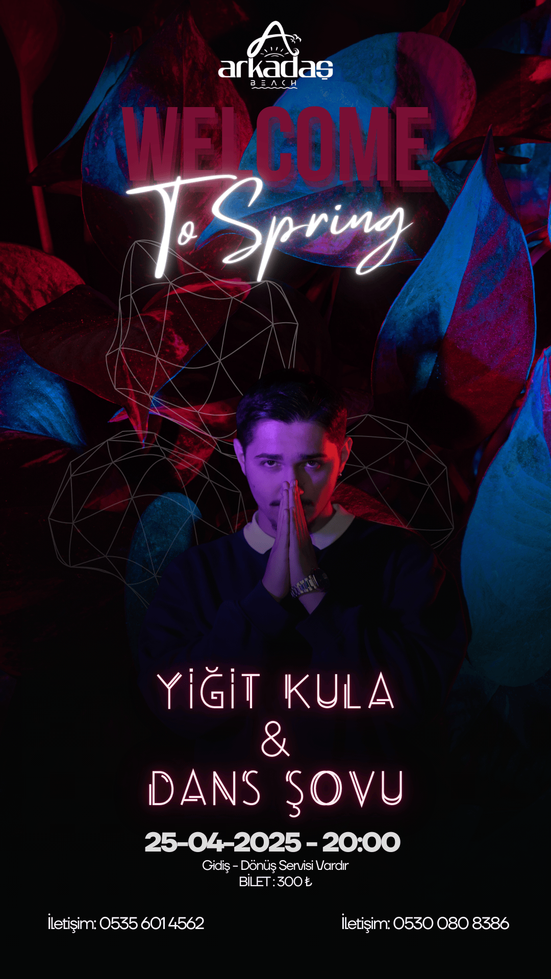 Welcome to Spring Party