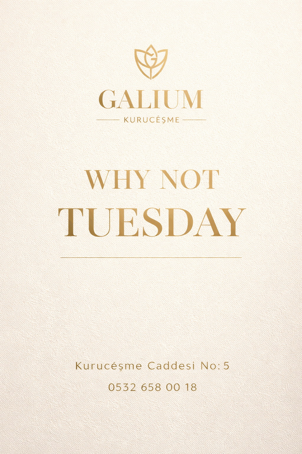 WHY NOT TUESDAY