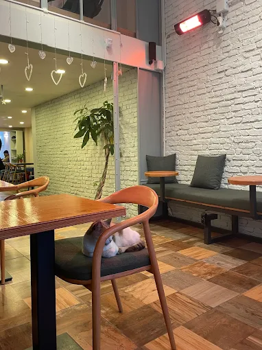 Wings Coffee House - Kadıköy