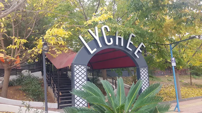 Yasemin Lychee