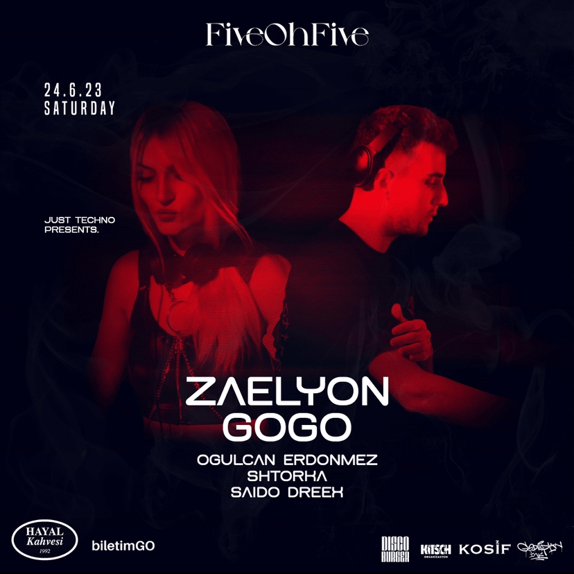 ZAELYON b2b GOGO